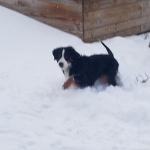 Meet your Posher, Becky